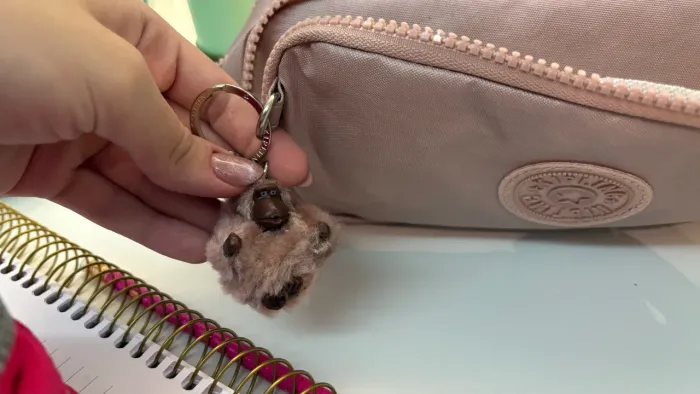 Estojo kipling