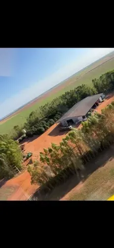 Fazenda de 15 mil hectares p/ Arrendamento Gaúcha do Norte - MT