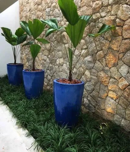 Jardinagem e Paisagismo 