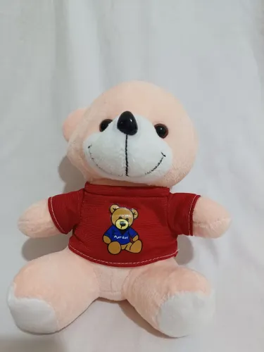 Ursinho de pelúcia com camiseta