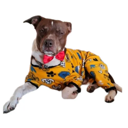 Macacão Pet roupa de cachorro G1,G2,G3