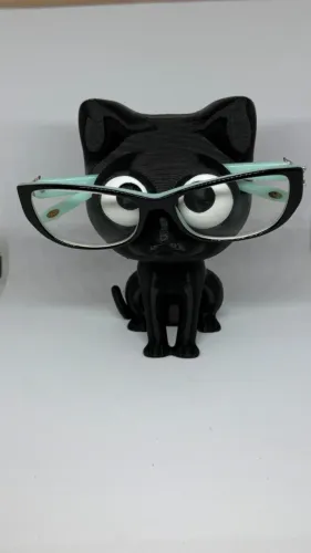 Porta Oculos Gatinho