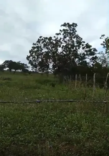 Vendo sítio de 6.400 metros Baratinho e parcelado 