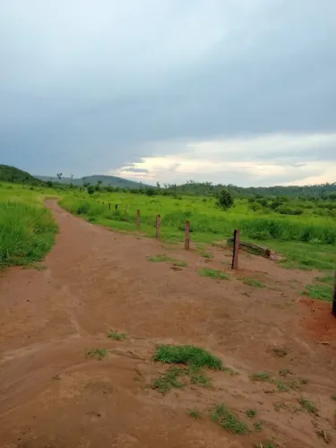 Fazenda de 175 alqueires em São Félix do Xingu