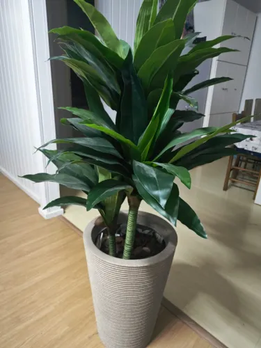 Planta artificial decorativa