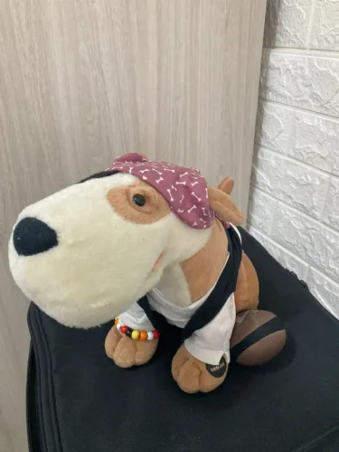 Cão Spock Candide 