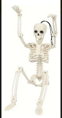 Decoração De Halloween Esqueleto Humano 39cm de comprimento