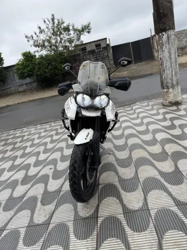 TIGER 2018/19