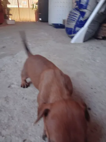 Somente vendo