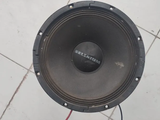 Woofer Selenium 10pw3 10 polegadas 