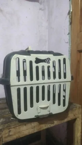 Caixa de transporte pet 