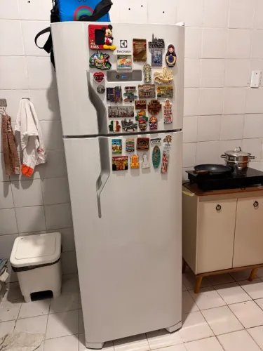 Geladeira Electrolux Frost Free 310L