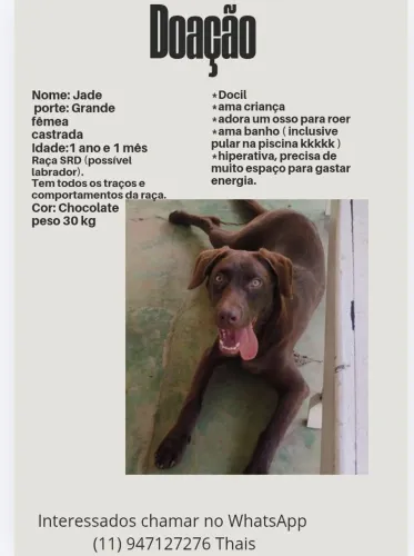 Doação responsável