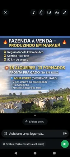 Terra próximo Marabá 