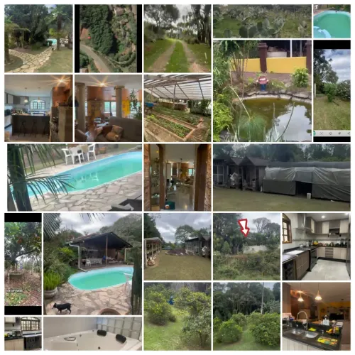 Chácara/área urbano a venda em Campo Largo, frente asfalto PR 510