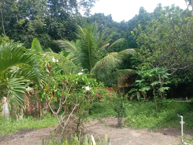 Casa recém construída toda murada,muitas fruteiras, água mineral direto da fonte 