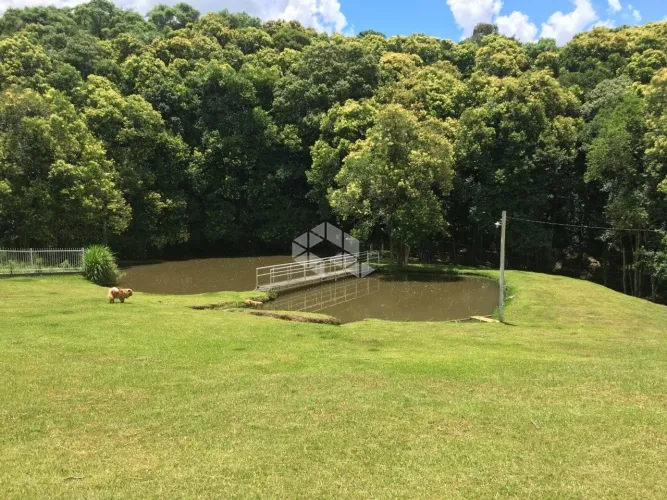 Vendo chácara em Forqueta com 20000m2 por R$2.500.000.000,00. Com água, luz, internet e 4 