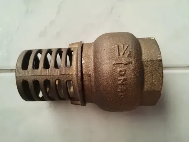 Válvula De Pé Sucção Fundo De Poço Dn40 - Ler A Descrição