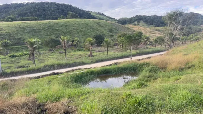 PROPRIEDADE COM EXCELENTE TOPOGRAFIA TERRA FÉRTIL
