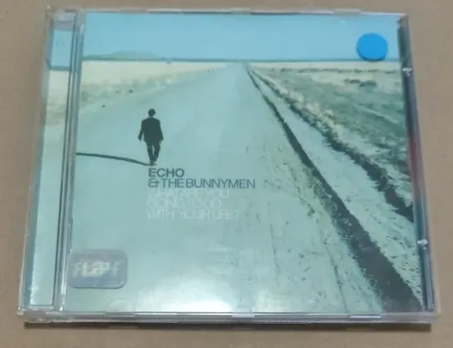 CD - ECHO & THE BUNNYMAN - What Are You Going to Do with Your Life? 1999