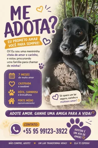 doação responsável - cadelinha castrada de 6 meses