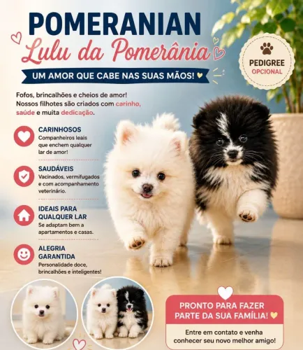 Machinho preto e branco 