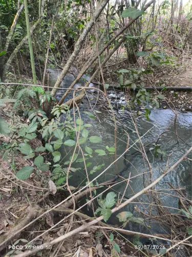 Chácara com água , energia, 7 mil metros em Avelinópolis