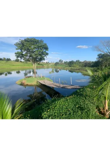 FAZENDA À VENDA PARANAÍBA/MS FAZENDA À VENDA PARANAÍBA/MS