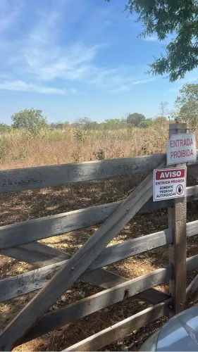 Vendo terreno em Januaria 82 hectare