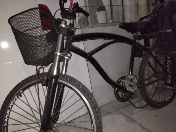 Bicicleta adulto
