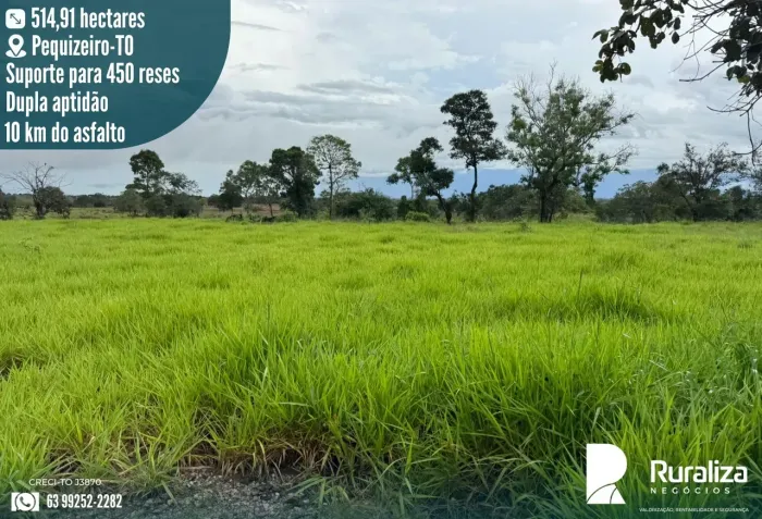 Fazenda Ideal Para Pecuária | Aceita troca Próximo a Araguaína.