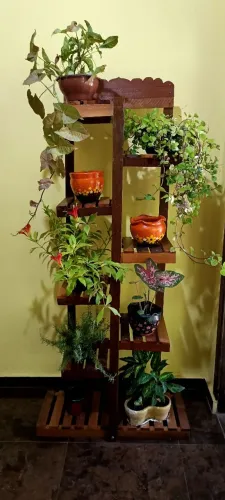 Estante para plantas ( Parajú)