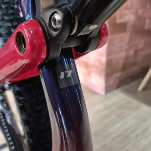 BICICLETA OGGI CATTURA PRO