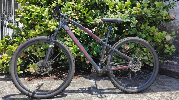 Bicicleta aro 29