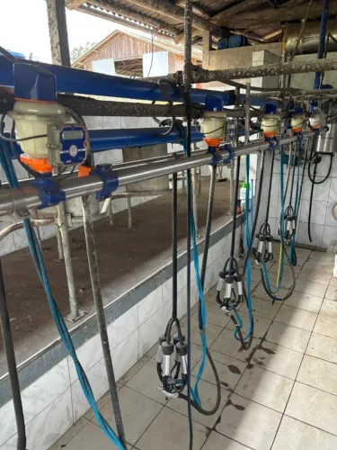 Ordenhadeira canalizada com 5 conjuntos