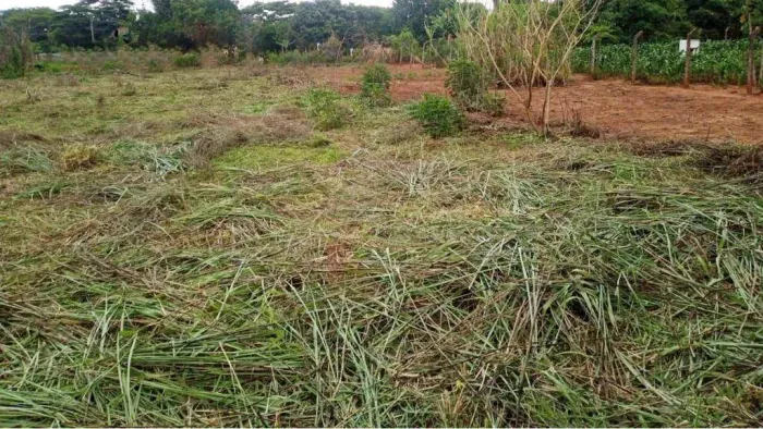 Terreno à venda, 1000 m² por R$ 320.000,00 - Parque Residencial Tancredi - Americana/SP