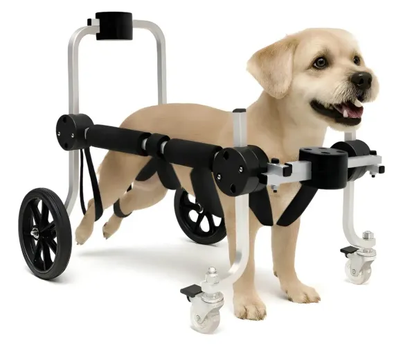 CADEIRA ANDADOR PET BEST