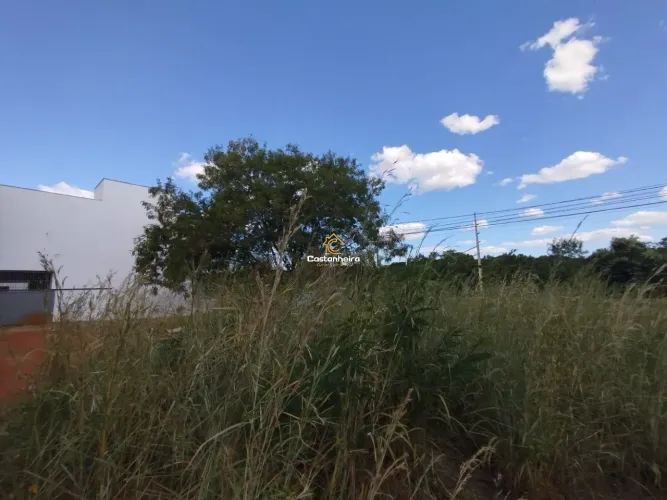 Lote Comercial - 144 m² - Plano Diretor Norte - Centro
