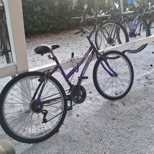 Bicicleta