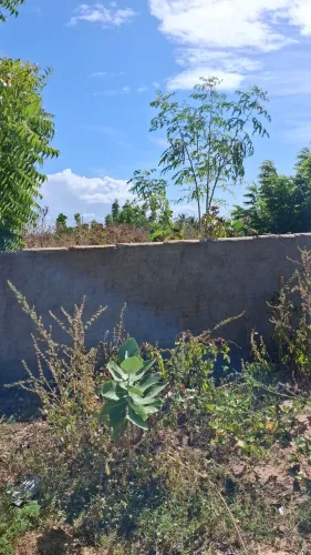  TERRENO COM O MELHOR  PRECO NA PRAIA E JA MURADO