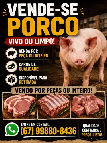 Vendo porco caipira para cria ou limpo