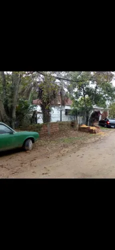 ótimo terreno para criar cachorros e ter conexão com a natureza