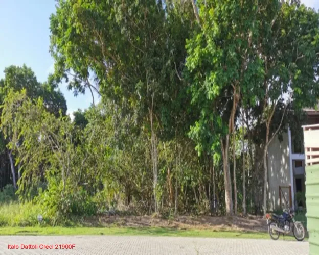Excelente terreno em condomínio fechado, 600m², Norte Sul, Praia do Forte, Mata de São Joã