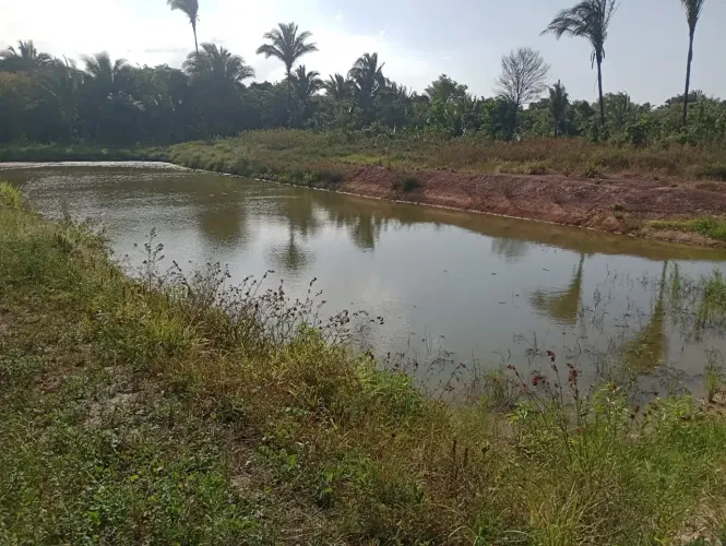 FAZENDA EM BACABEIRA
