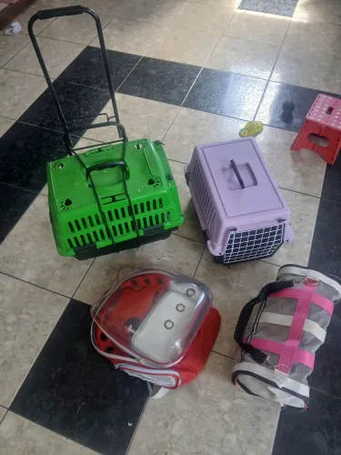 Pet produtos