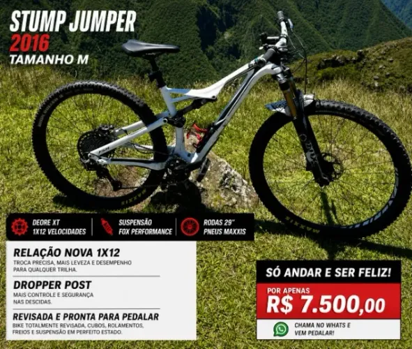 Specialized Stumpjumper FSR Carbon 29 2016