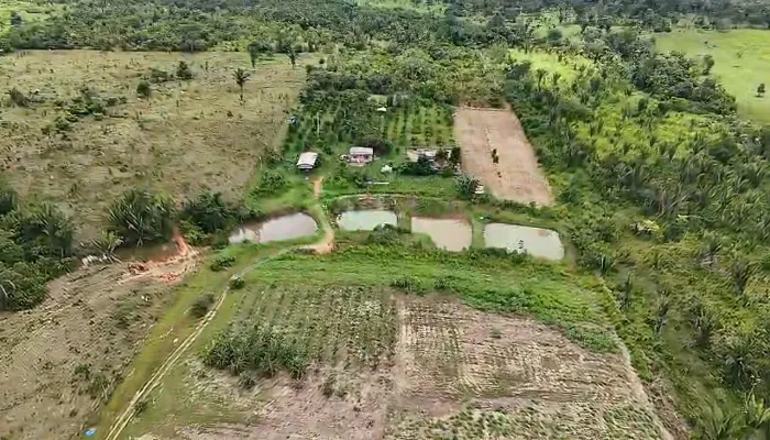 Caseiro