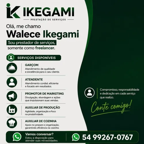 Freelancer disponível 