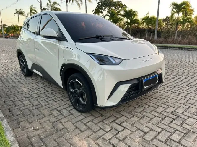 BYD Dolphin Mini (Elétrico) 2024