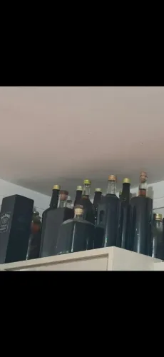 Pinga Curtidas